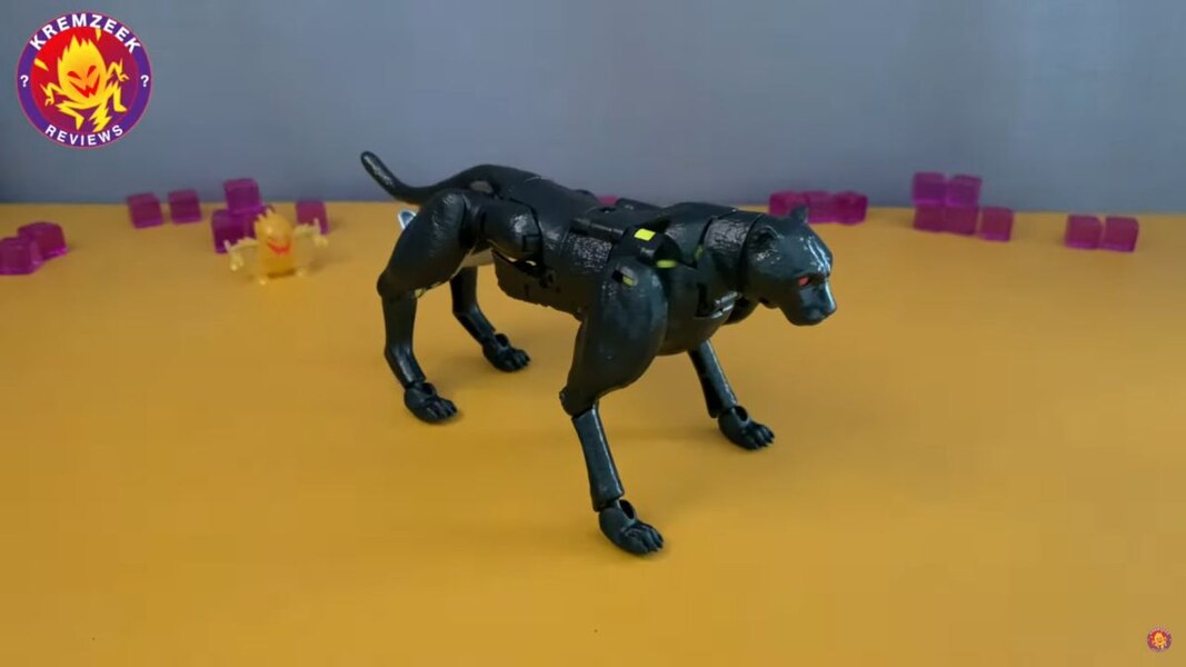 Transformers WFC Kingdom Shadow Panther In Hand  (12 of 19)